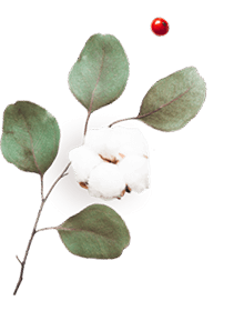 https://estrella-mia.click/wp-content/uploads/2020/10/floating_image_06.png