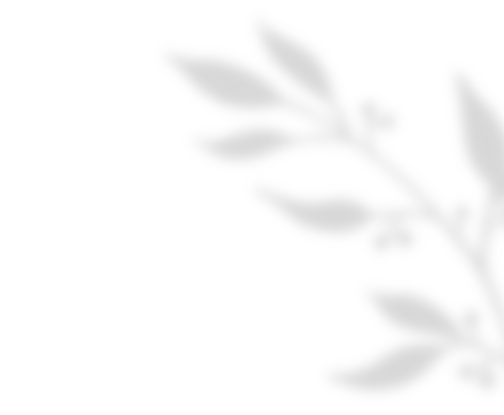 https://estrella-mia.click/wp-content/uploads/2020/11/shadow_leaves_01.png